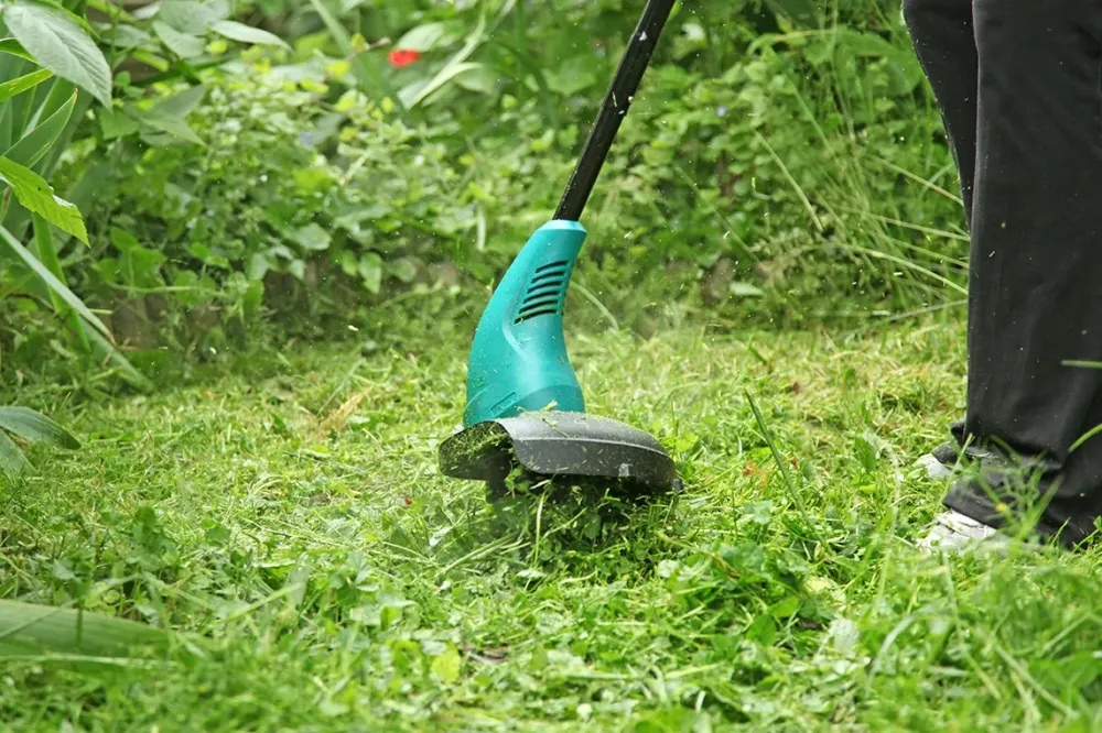 Débroussaillage à Cessenon-sur-Orb