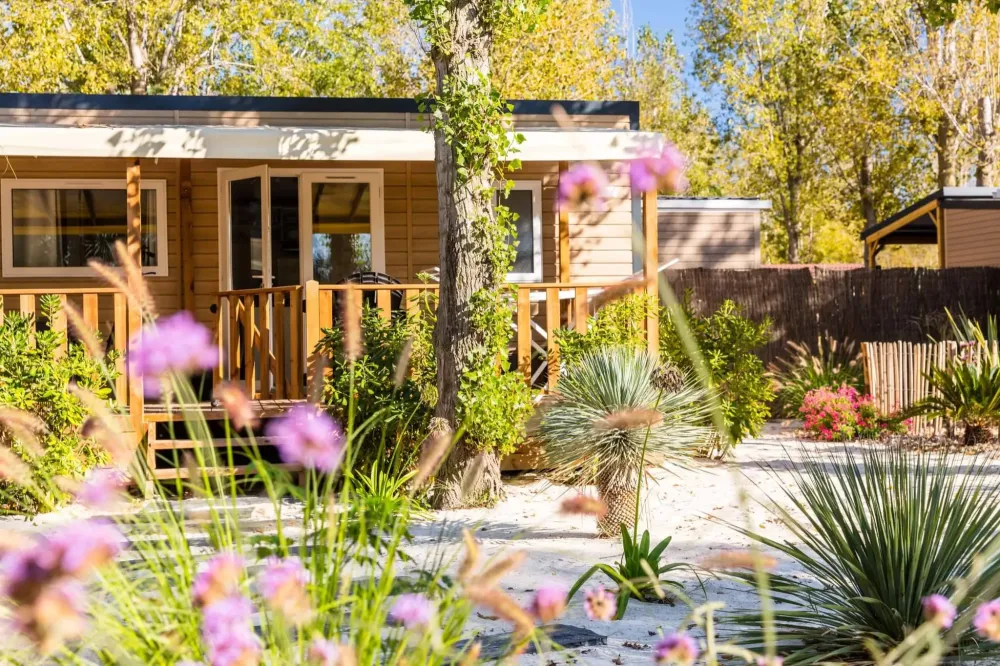 Fleurs à Cessenon-sur-Orb