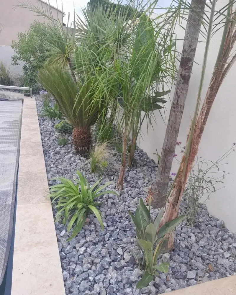 finition de pose plantes